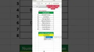 How to count number of employees in Excel! 