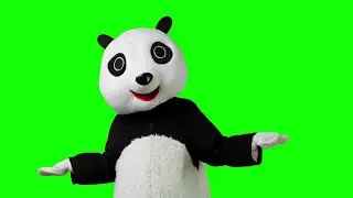 Green Screen Panda Bear 3D Animation for Chroma key