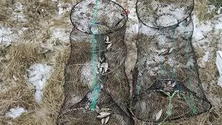 ВОТ ЭТО РЫБАЛКА в микро речке, проверю верши!!! Улов удивил, сколько рыбы я за раз ещё не ловил!!!