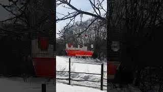 хороший охотник!щеглы,голуби,чижик,чечетка,репел,конорейка.