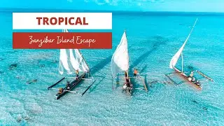 Zanzibar Island Holiday | Visit island off the coast of Tanzania