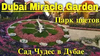 Сад Чудес в Дубае (Парк Цветов) ОАЭ Это надо увидеть! Dubai Miracle Garden