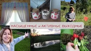 ДЕСЕРТНЫЕ СВЕЧИ 🧁УЕХАЛИ ЗАГОРОД 🏡 ОТКРЫЛИ СЕЗОН 😎 ПЕРВЫЙ УРОЖАЙ 🍅