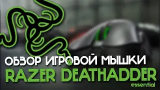 RAZER DEATHADDER Essential. Обзор мышки для макросов.