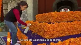 Claudia Sheinbaum Dedicamos la ofrenda del Día de Muertos a las heroínas de la patria 🇲🇽