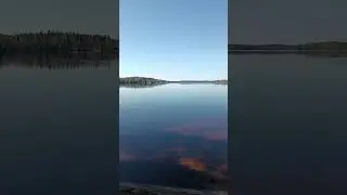 тишь да гладь
