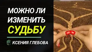 СУДЬБА | Можно ли изменить Судьбу и Гороскоп? Ксения Глебова.