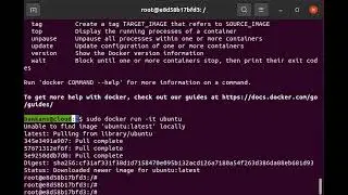 No Internet Connectivity Inside Docker Ubuntu Container - Testing with Ping?   Did you install Ping