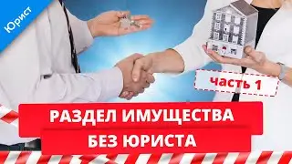 Раздел имущества без юриста. Как за 4 шага самостоятельно подготовить иск о разделе  имущества