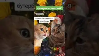 Обговорюємо меню на Новий Рік 🎄😊