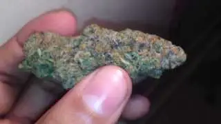 Girl Scout Cookies Strain (thin mints) Close Up HD