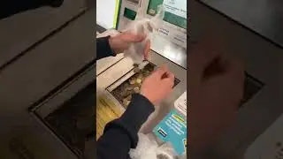 Автомат по приему мелочи