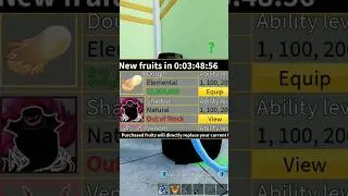Blox Fruit Stock 