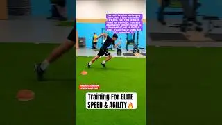 Training For ELITE SPEED & AGILITY! Athlete Speed Training! 