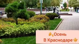 Краснодар ПОГОДА сентябрь 2021 Переезд в Краснодар