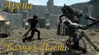 Skyrim: Мод Арена  