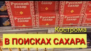 В поисках сахара в Костроме.