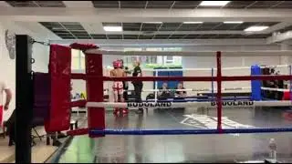 Александр Железняков чемпион Балтии по К-1 2022обеда над Грузинским спортсменом