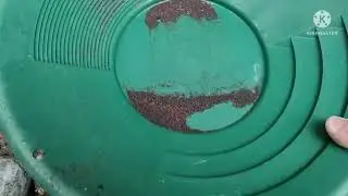 первое золото сезона
