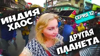 ИНДИЯ Другая планета, Жизнь в Индии рынок мечеть Фатихпур прогулка с Эрикой Дэрга Раджастхан