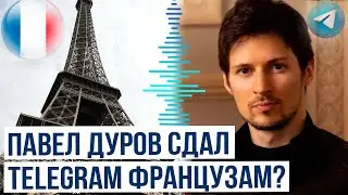 Telegram начал сотрудничать с французскими властями после ареста Дурова?