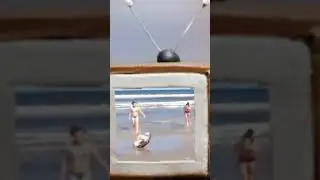 Собака и хозяйки гимнастика на пляже 2023