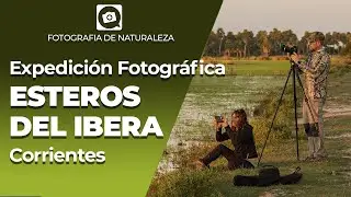 Safari fotografico a Esteros del Ibera / 2022