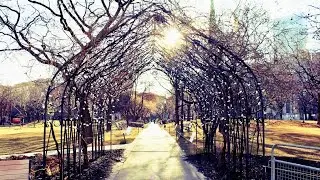 St. James Park | Cathedral Church of St. James | Market Street Park | Downtown Toronto (Feb 2022)