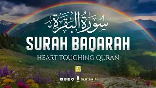 Marvelous Surah Al Baqarah Full سورة البقره | Relaxing Heart Touching Voice | Zikrullah TV