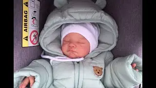ГУЛЯЕМ С РЕБОРНОМ НА УЛИЦЕ. РЕБОРН ЛУИ В КОЛЯСКЕ. 