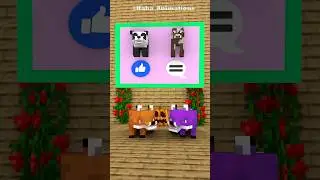 What Animal In The Wooden Box