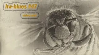 Film noir video-blues om sorg 💔 hw-blues #47