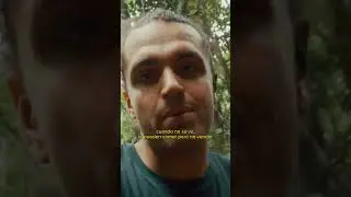 Un Baka NÚNCA se pierde en la Selva
