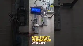 Fixed and Struct E32 LoRa Transmission With ESP8266