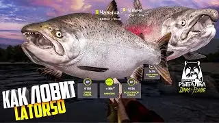 Русская рыбалка 4.🎣🦈 р. Яма 🐋🐋💦 КАК ЛОВИТ LATORSO 👀