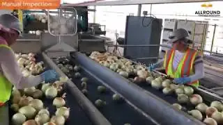Линия по доработке лука