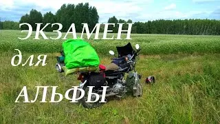 На МОПЕДЕ по горам и болотам Экзамен для АЛЬФЫ 1