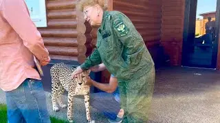 Rosprirodnadzor came to check. Gerda cautiously met the guests and conquered them with her kindness