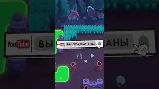 самый долгий пин 