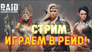 🔴 Raid SL!  Обзоры, общение, слияние!