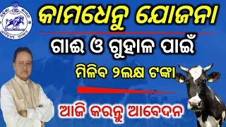 ଗାଈ ଓ ଗୁହାଳ ପାଇଁ ମିଳିବ ଟଙ୍କା/Go palana yojana odisha/Mukhyamantri kamadhenu yojana/Go sugam portal