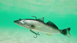 ATOMIC   REAL BAITZ   WHITING   Cut 1