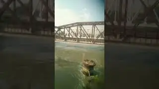 #jawan