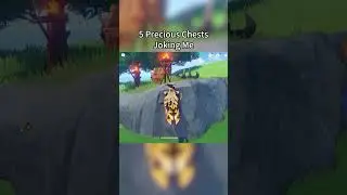 5 precious Chests  