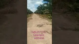 wong ngapak curhat kerja di PT kls