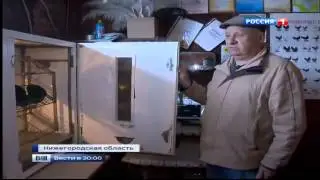 Российские сельхозпроизводители предлагают свою продукцию для импортозамещения