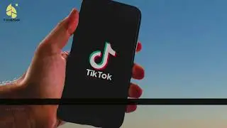 How many countries are ‘banning’ TikTok?