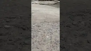 теперь по ночами под луной
