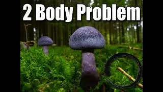 2 Body Problem