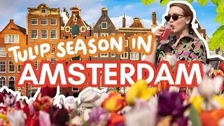 Weekend in AMSTERDAM during TULIP SEASON! | low budget things to do